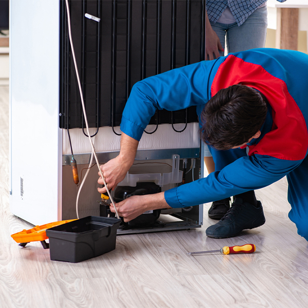 what are the common refrigerator repair services in Mina Nevada